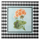 Harlequin-geplateerd geraniumbotanisch tegeltje (Voorkant)