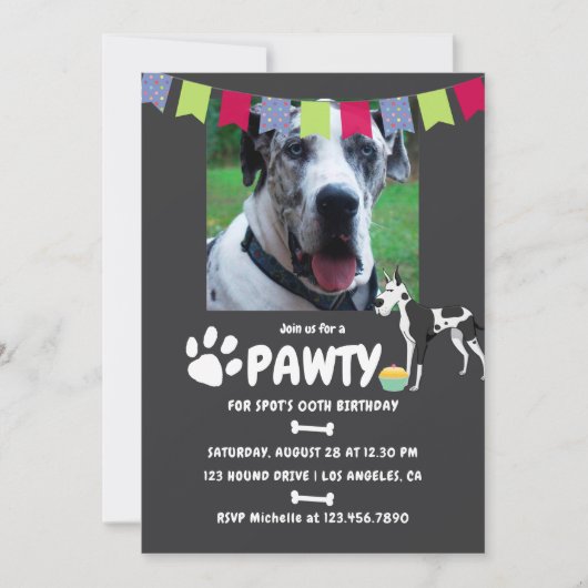 Harlequin Great Dane Birthday-fotouitnodiging Kaart (Voorkant)