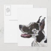 Harlequin Great Dane Briefkaart (Voorkant / Achterkant)