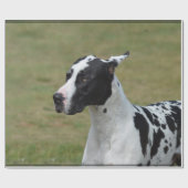 Harlequin Great Dane Cadeaupapier (Vlak)
