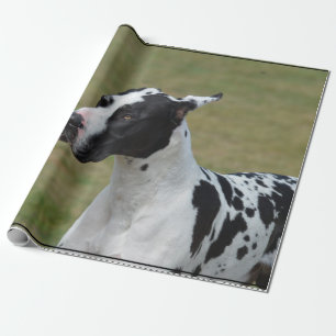 Harlequin Great Dane Cadeaupapier