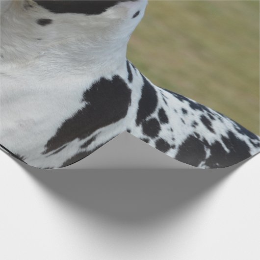 Harlequin Great Dane Cadeaupapier (Hoek)