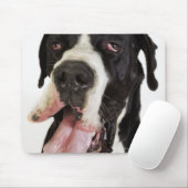 Harlequin Great Dane, dichtbij wit Muismat (Met muis)