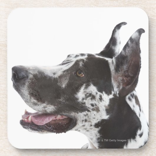 Harlequin Great Dane Drankjes Onderzetter (Voorkant)