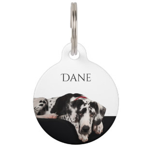Harlequin Great Dane Huisdierpenning