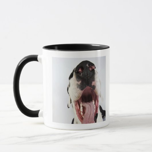 Harlequin Great Dane met open mond, close-up, Mok (Links)