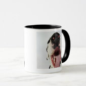 Harlequin Great Dane met open mond, close-up, Mok (Voorkant rechts)