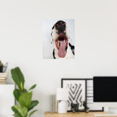 Harlequin Great Dane met open mond, close-up, Poster (Thuiskantoor)