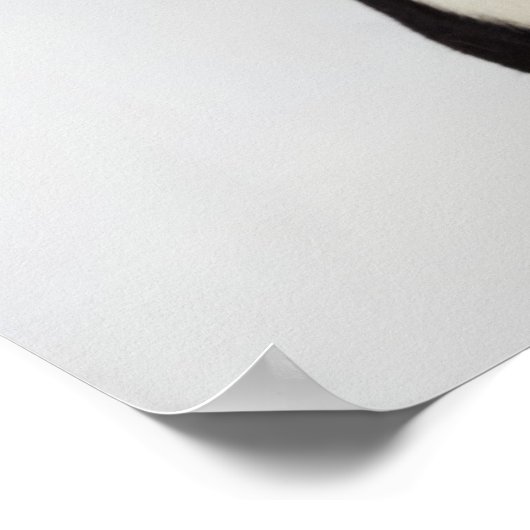 Harlequin Great Dane met open mond, close-up, Poster (Hoek)