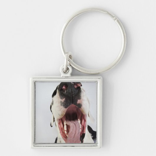 Harlequin Great Dane met open mond, close-up, Sleutelhanger (Voorkant)