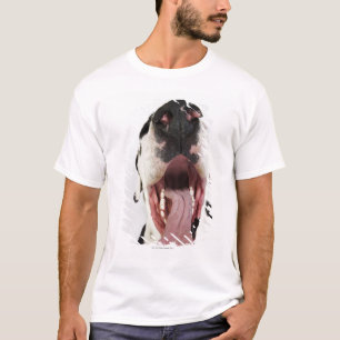 Harlequin Great Dane met open mond, close-up, T-shirt