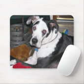Harlequin Great Dane Muismat (Met muis)