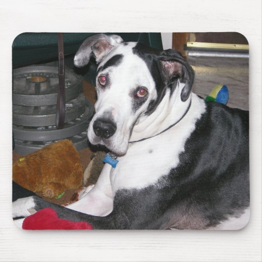 Harlequin Great Dane Muismat (Voorkant)