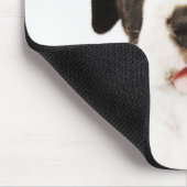 Harlequin Great Dane puppy op witte achtergrond Muismat (Hoek)