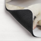 Harlequin Great Dane puppy slaapt op moeder Muismat (Hoek)