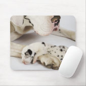 Harlequin Great Dane puppy slaapt op moeder Muismat (Met muis)