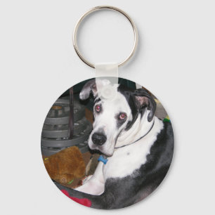 Harlequin Great Dane Sleutelhanger