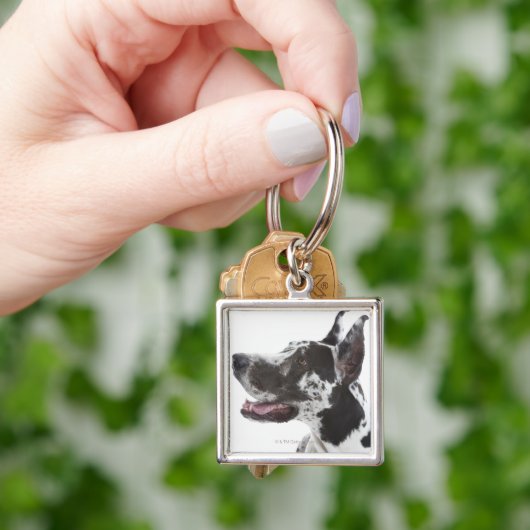 Harlequin Great Dane Sleutelhanger (Hand)