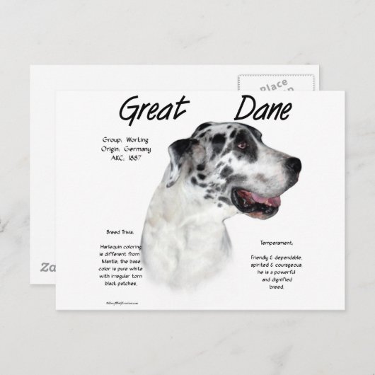 Harlequin Groot Deen Geschiedenis Ontwerp Briefkaart (Voorkant / Achterkant)