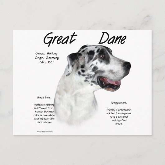 Harlequin Groot Deen Geschiedenis Ontwerp Briefkaart (Voorkant)