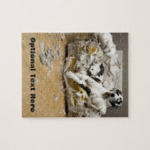 Harlequin Grote Deense foto puzzel Legpuzzel (Horizontaal)