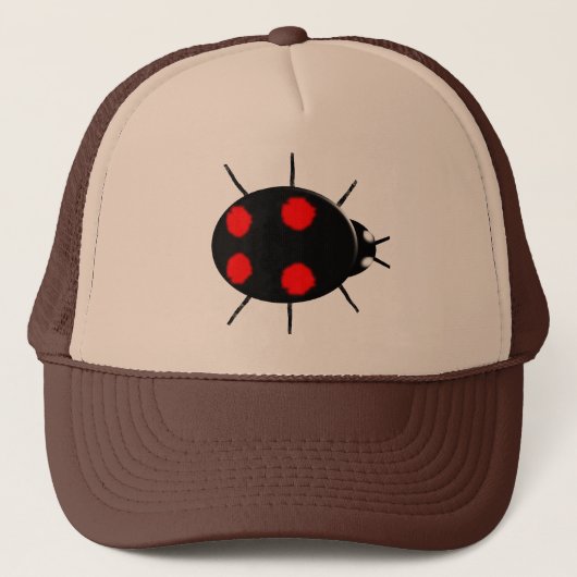 Harlequin Ladybird Pet (Voorkant)