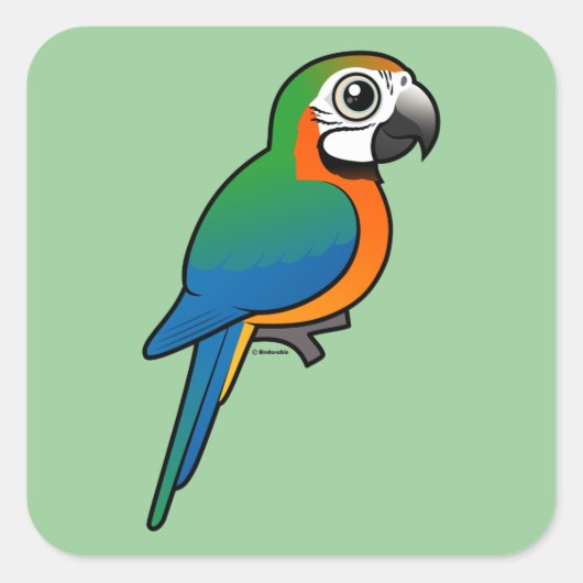 Harlequin Macaw Vierkante Sticker (Voorkant)