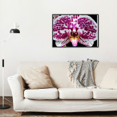 Harlequin Moth Orchid Foto Glossy Perfect Poster