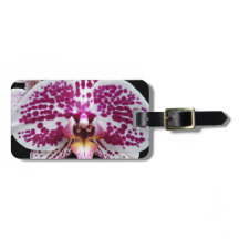 Harlequin Phalaenopsis Orchid Floral