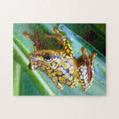 Harlequin Poison Dart Frog Legpuzzel (Horizontaal)