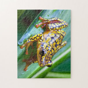 Harlequin Poison Dart Frog Legpuzzel
