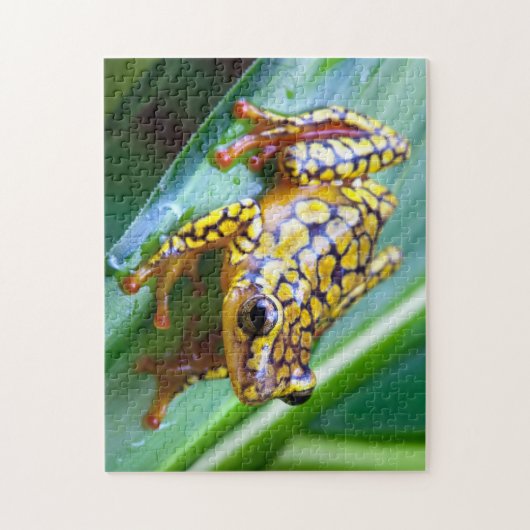 Harlequin Poison Dart Frog Legpuzzel (Verticaal)