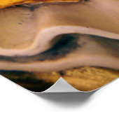 Harlequin Poster (Hoek)