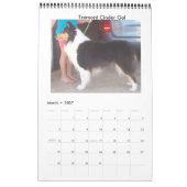 Harley Collies Kalender (Mar 2027)