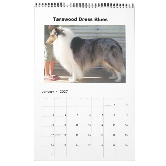 Harley Collies Kalender (Jan 2027)