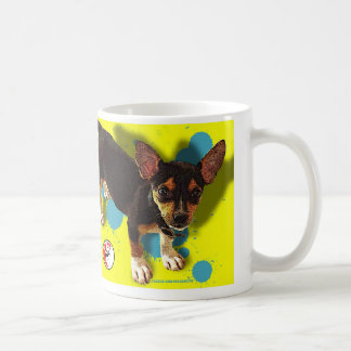 HARLEY IS ONZE MAN KOFFIEMOK