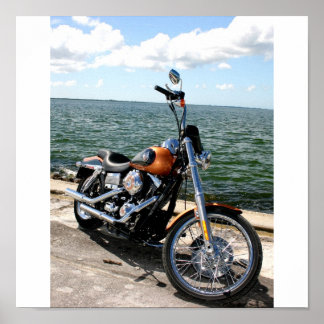 Harley Pics 040 Poster