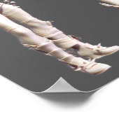 Harley Quinn Alternate Turnround Poster (Hoek)