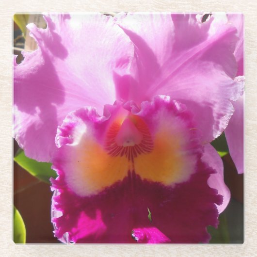 Harlinde Glazen Onderzetter (Voorkant)