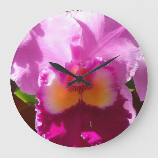 Harlinde Grote Klok (Voorkant)