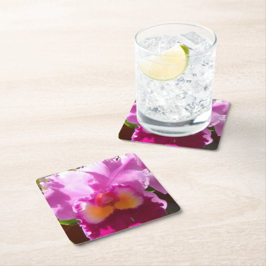 Harlinde Kartonnen Onderzetters (Insitu)