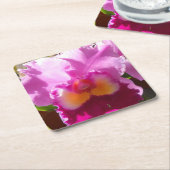 Harlinde Kartonnen Onderzetters (Schuin)