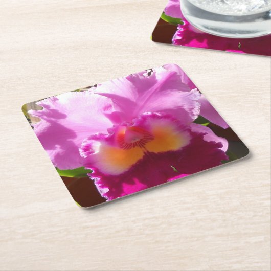 Harlinde Kartonnen Onderzetters (Schuin)