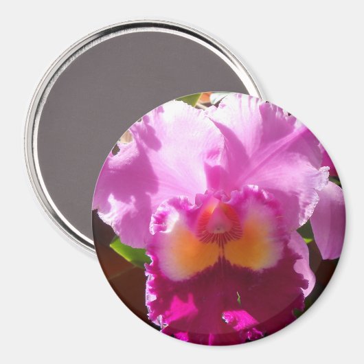 Harlinde Magneet (Voorkant / Achterkant)