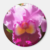 Harlinde Magneet (Voorkant)