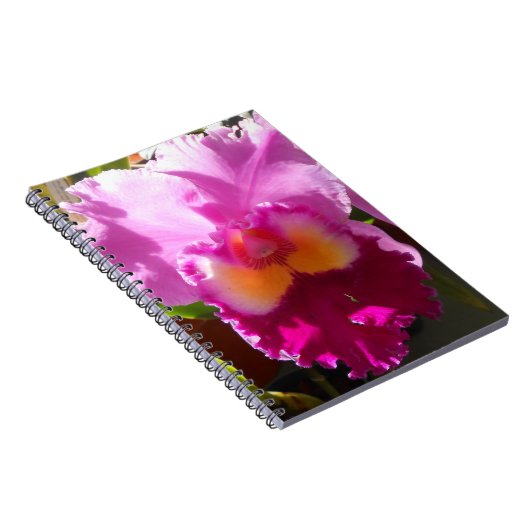 Harlinde Notitieboek (Rechterzijde)