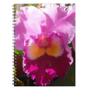 Harlinde Notitieboek