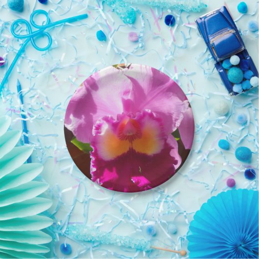 Harlinde Papieren Bordje (Feest)