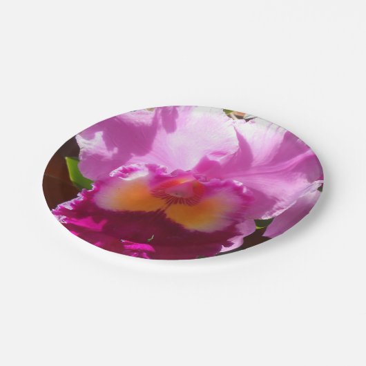 Harlinde Papieren Bordje (Gekanteld)