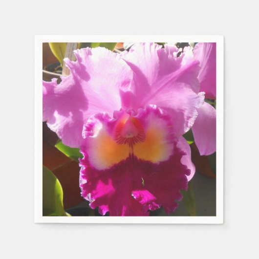 Harlinde Servetten (Voorkant)